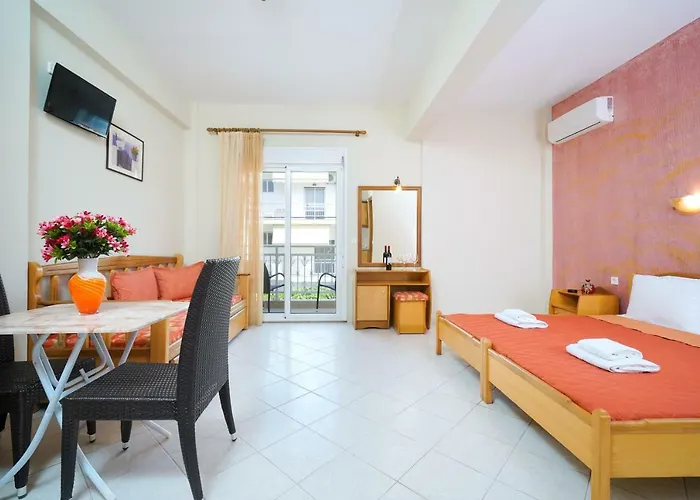 潘娜吉尔塔一室公寓 *